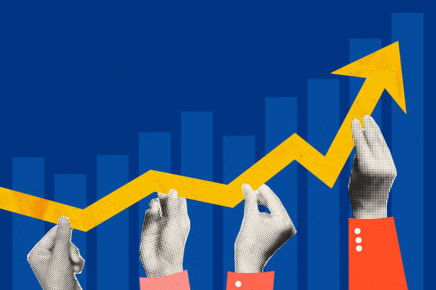 深圳会计代理服务，能否提供税务审计服务？