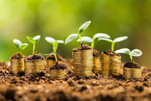 深圳小额担保公司注册资金